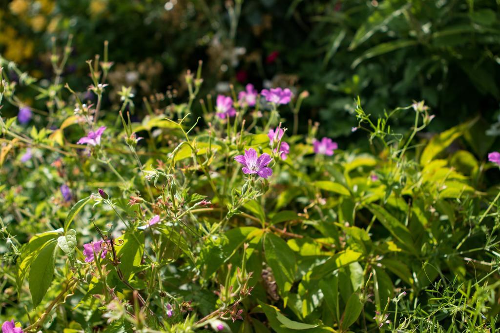 Mareham House Bed & Breakfast Sleaford Eksteriør billede